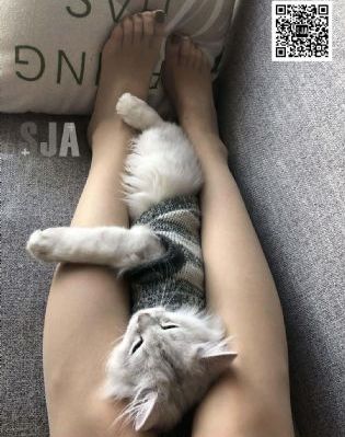 迷城 未删减版_BD英语HD高清在线观看
