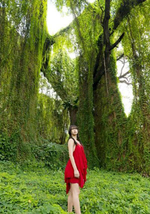 地道女英雄_720手机免费观看完整